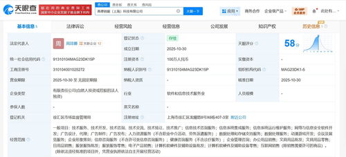高德在上海成立銷服科技公司，注冊(cè)資本100萬，聚焦信息技術(shù)咨詢服務(wù)